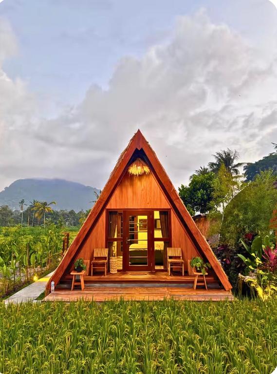 a small house with two chairs in a field at Umajro - Cabin in Karangasem