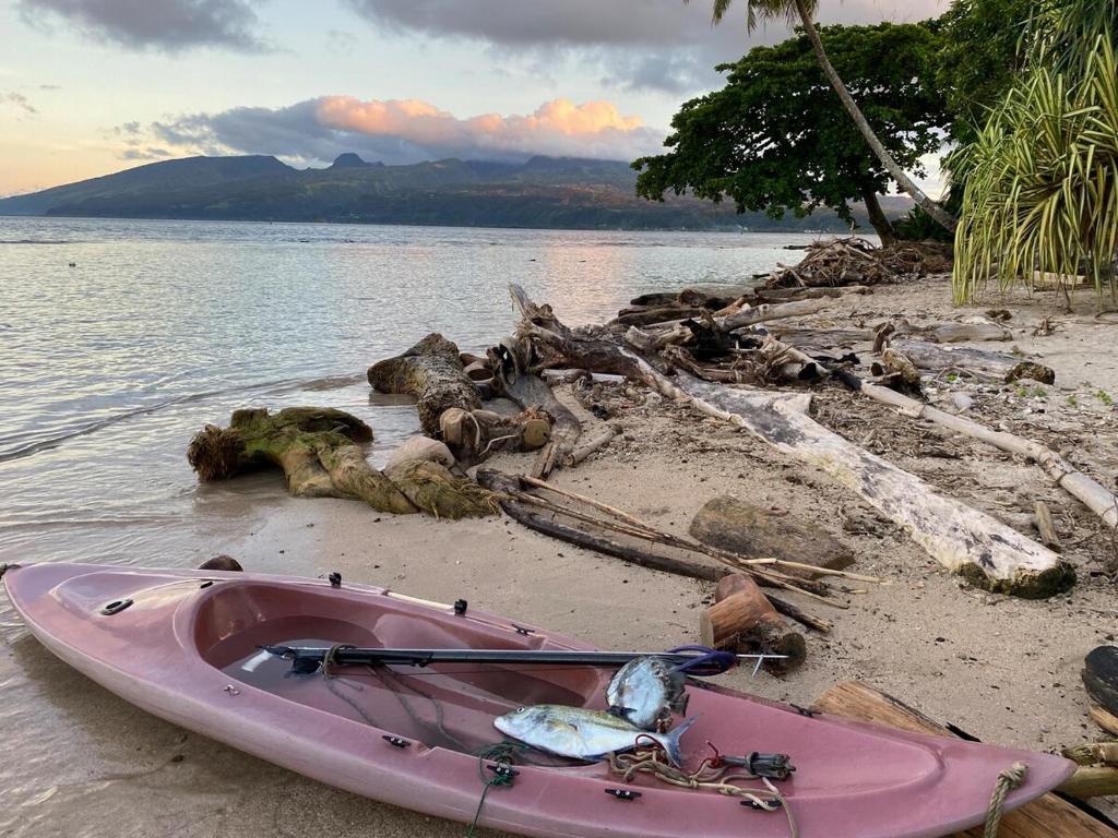 Tahiti Sunrise Beach - photo 10 - Tahiti, Polynésie