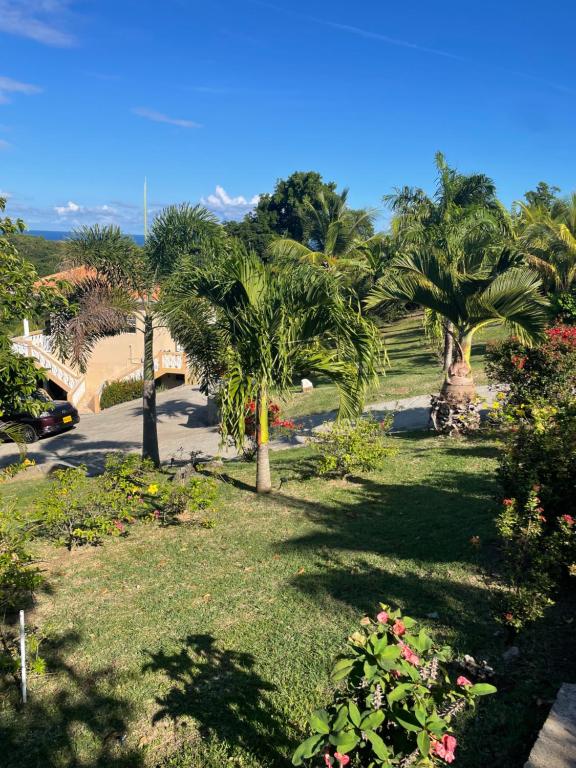 a garden with palm trees and a bridge at Serene Escape in Bellevue