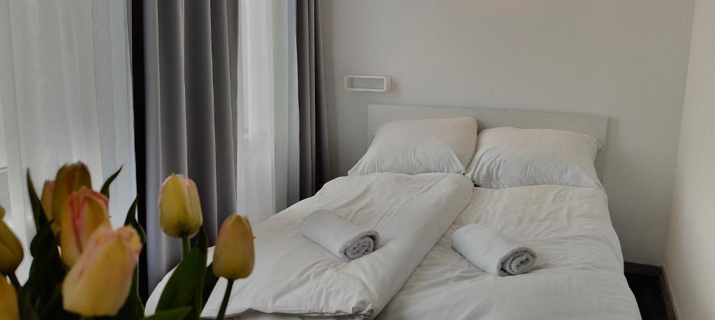 Noclegi Flauta - 