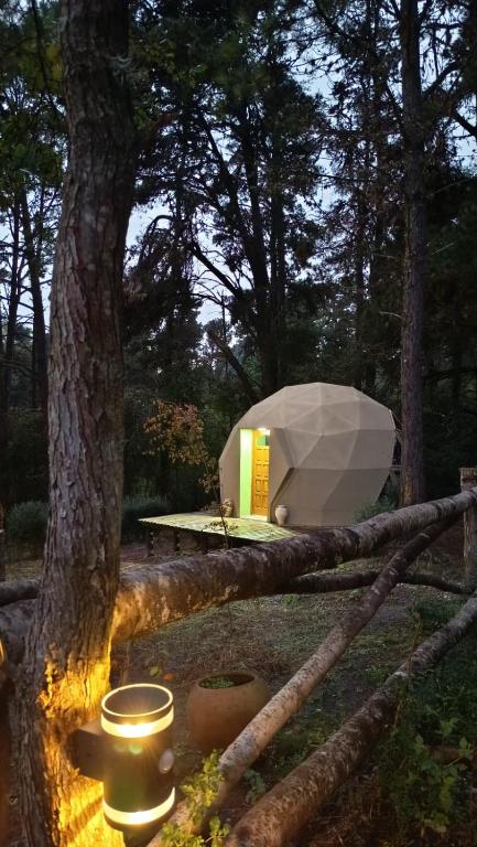 a tent in the middle of a forest with a tree at Aires de Berna in Villa Berna