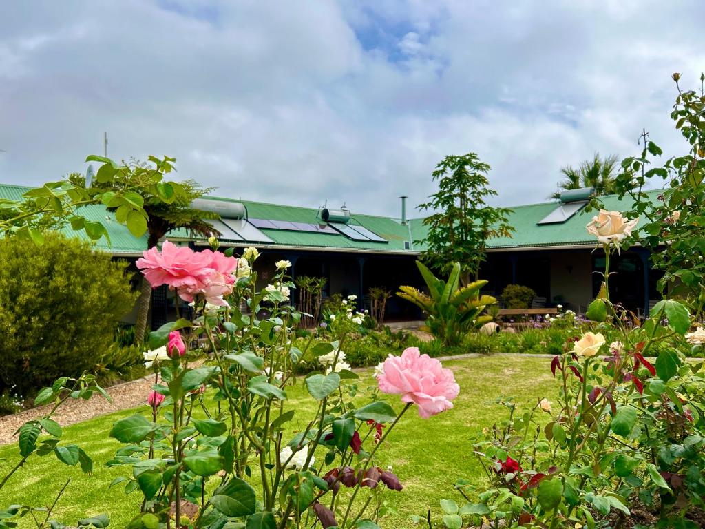 a garden with flowers in front of a house at African Sun Guest House in Molen Drift