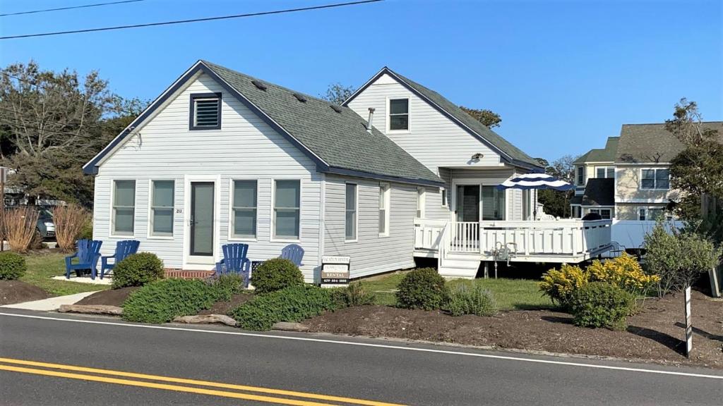 Seize The Bay, Cape May, NJ