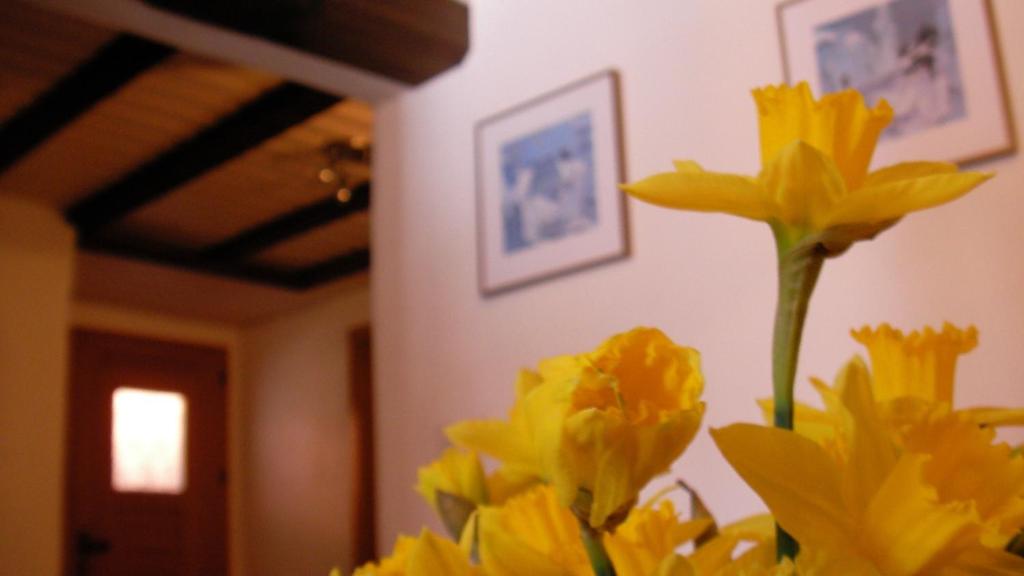 Gambar di galeri bagi Chalet Goldblick di Grächen