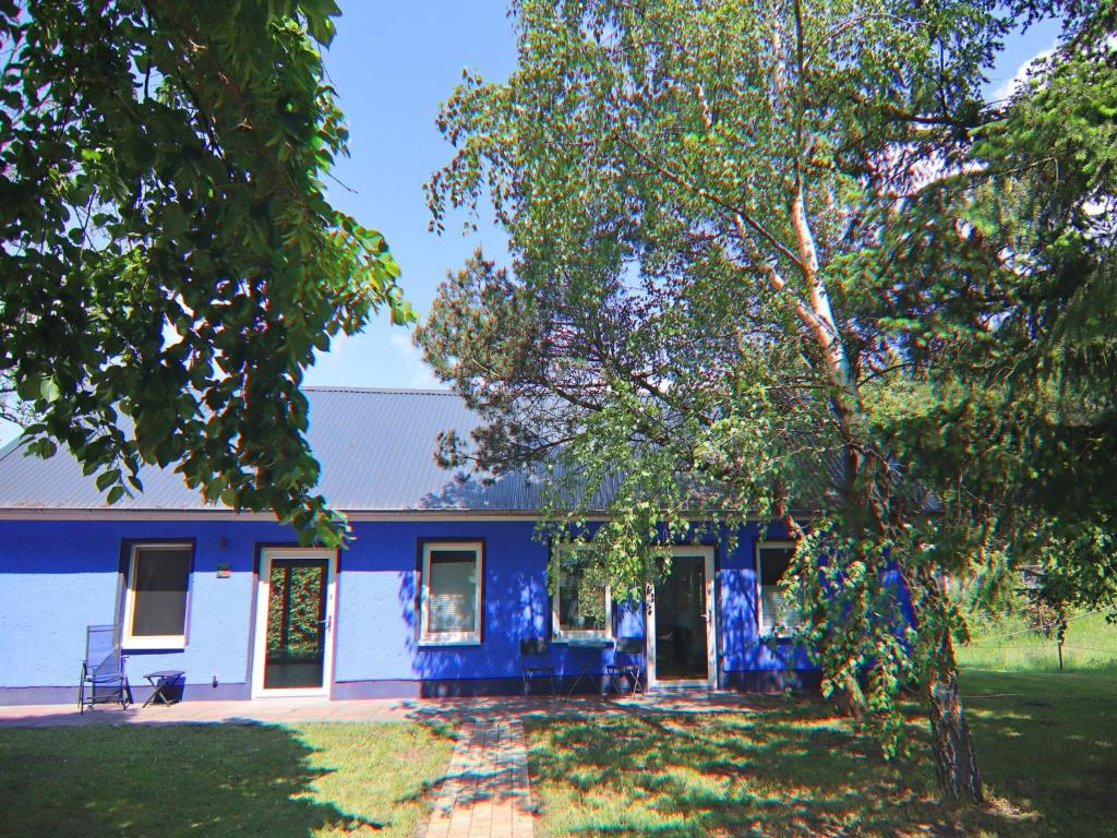 a blue house with a tree in front of it at Doppelhaushälfte Seestern, Lohmen in Lohmen