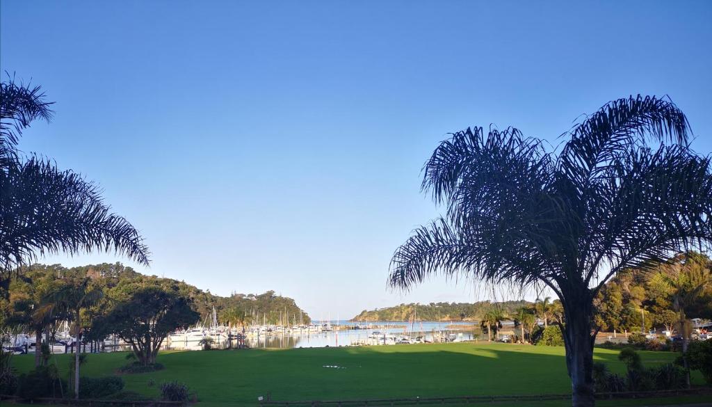 a palm tree sitting on top of a lush green field at Tutukaka Marina Views in Tutukaka