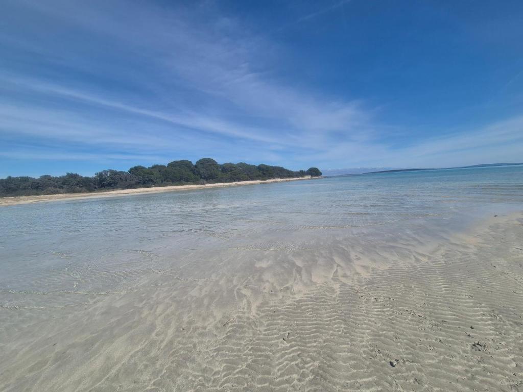 a beach with sand and trees in the distance at Mila in Olib