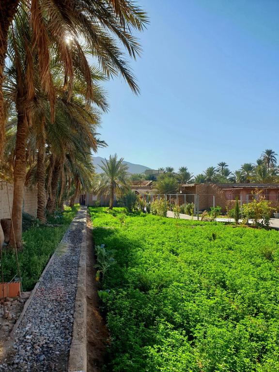 Riad IZRAREN - FIGUIG - Tweepersoonskamer Met 1 Of 2 Bedden