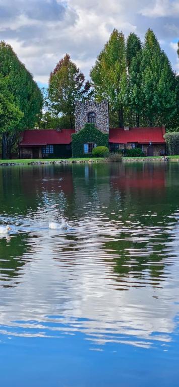 a house on an island in the middle of a lake at Critchley Hackle - Tower rooms in Dullstroom