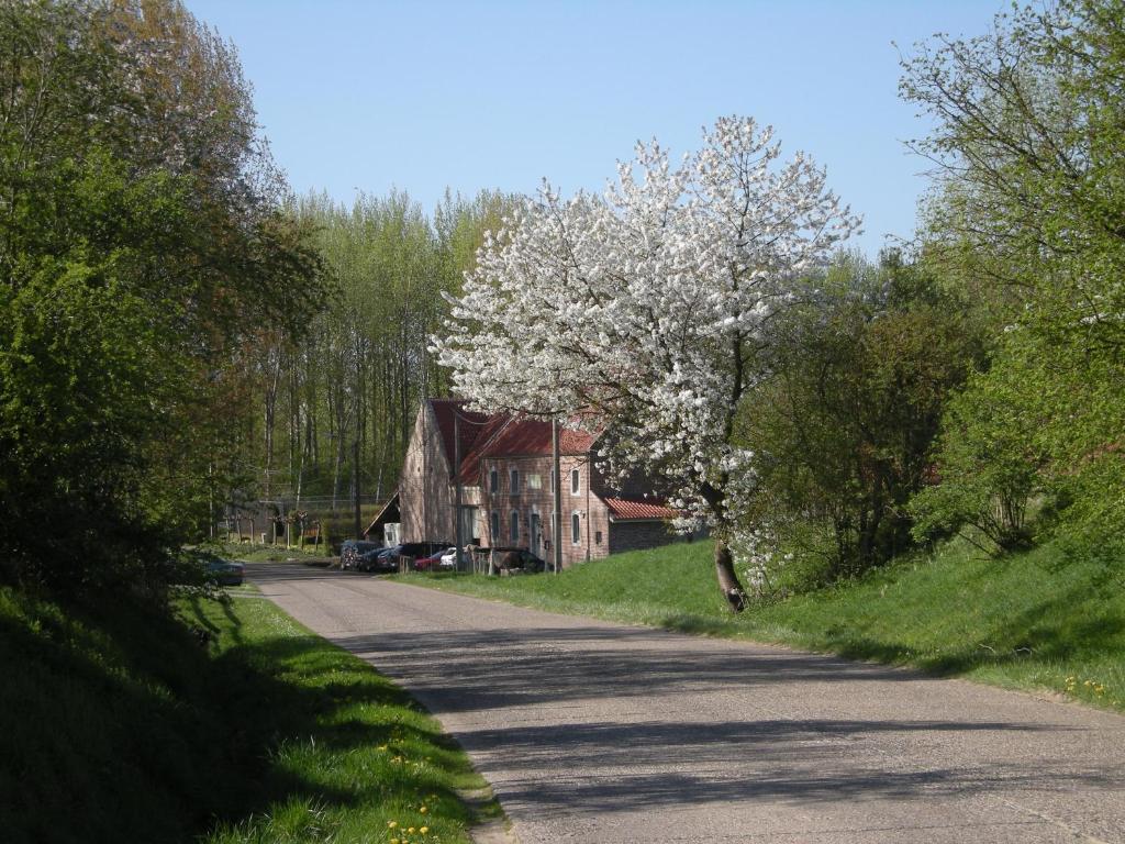 Příroda nedaleko bed and breakfast