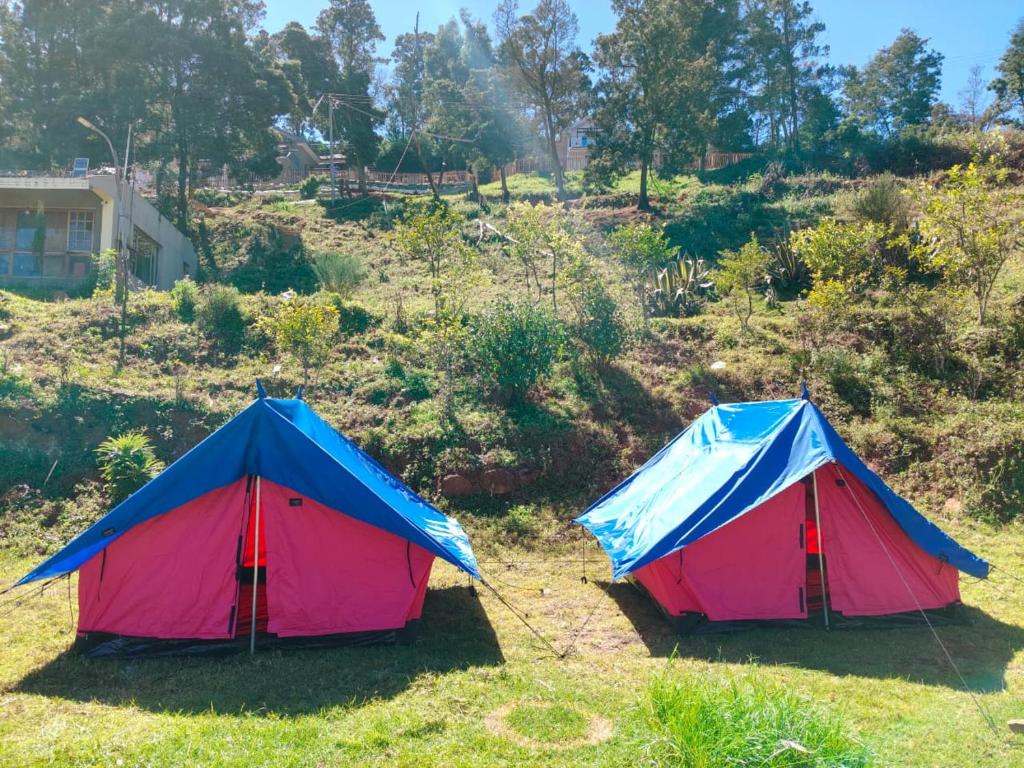 two tents sitting in the grass on a hill at Outside Space Resorts in Lovedale