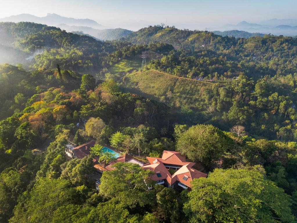 an aerial view of a house in the middle of a forest at Tree of Life Nature Resort in Kandy