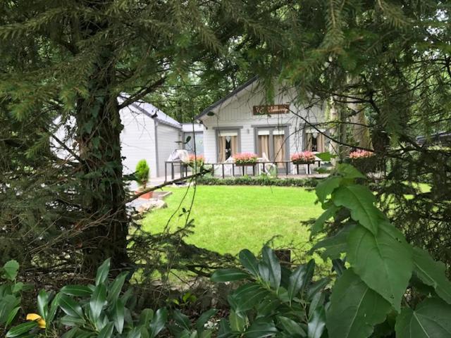 a white house with a yard with a tree at 't eekhoorntje in Durbuy