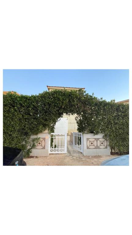 an ivy covered building with a white gate and a house at Private Bella Rum Villa with Garden in Marsa Matruh