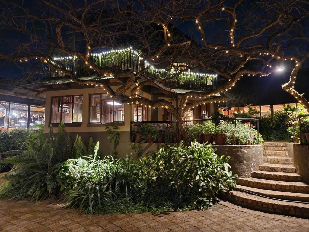 a house with christmas lights on the branches of a tree at Ascot Bush Lodge & Spa in Pietermaritzburg