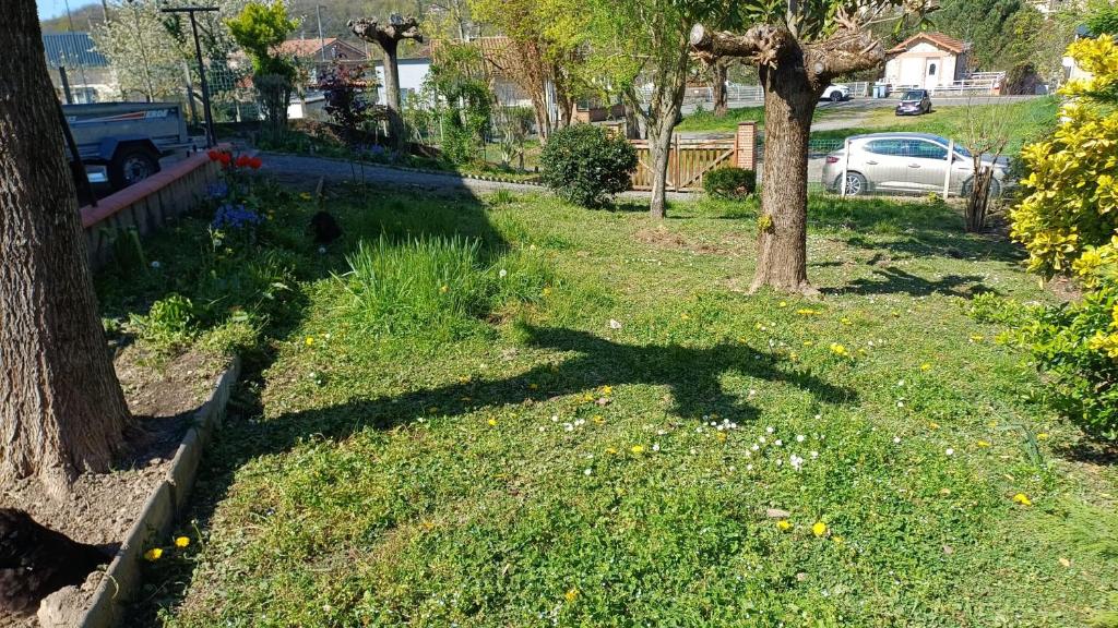a shadow of a tree in a yard at AïnaPat in Carmaux