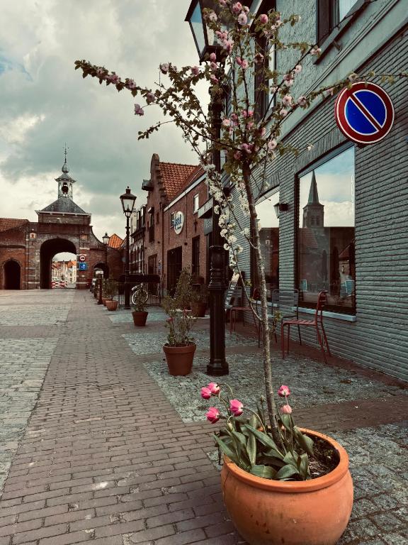 a potted tree in a pot next to a street at 's Lands Welvaren in Aardenburg