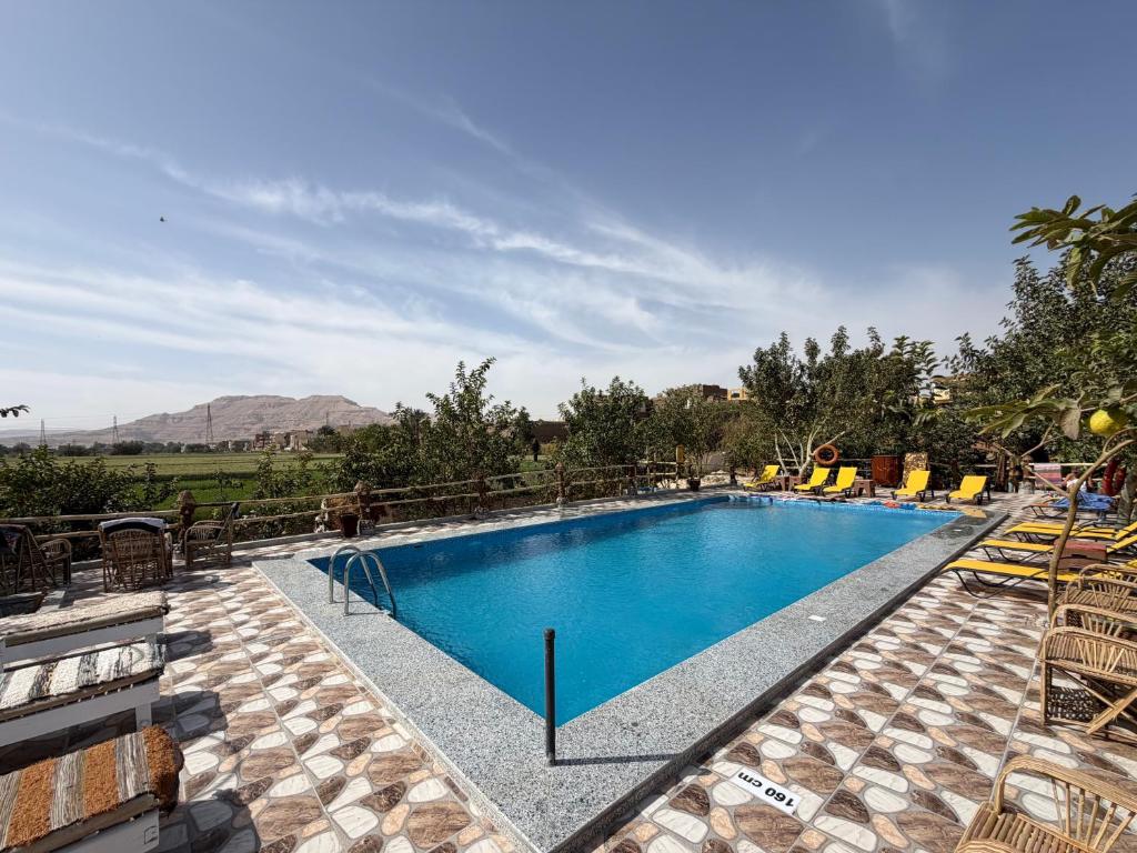 a large swimming pool with chairs around it at Bedouin Lodge Luxor in Luxor