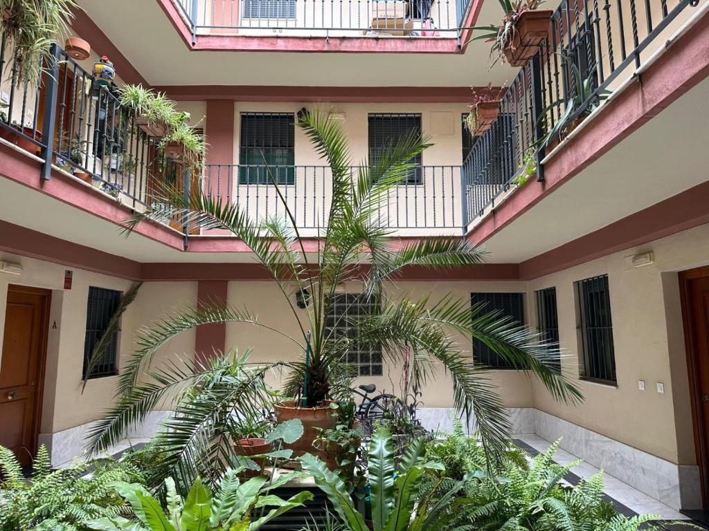 Apartamento Patio Andaluz