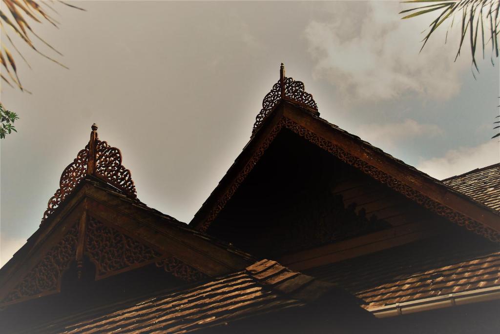 Cozy Garden Resort - 4