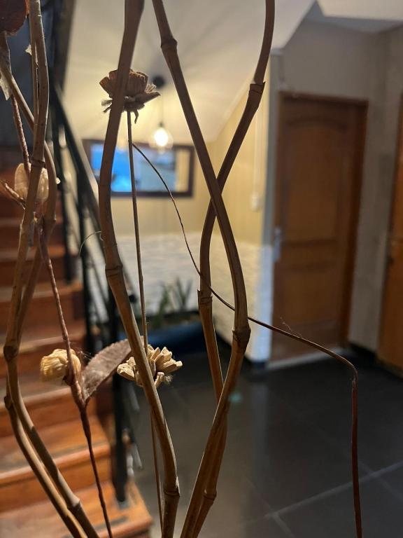 Apartamentos La Terminal