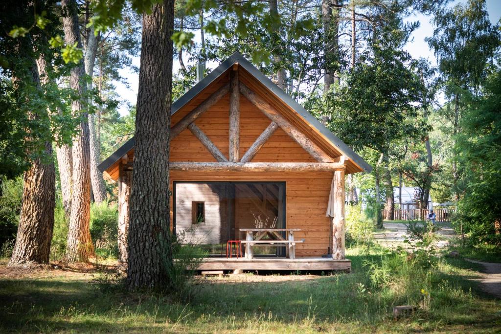 a cabin in the woods with a tree at Huttopia Lac de Rillé in Rillé