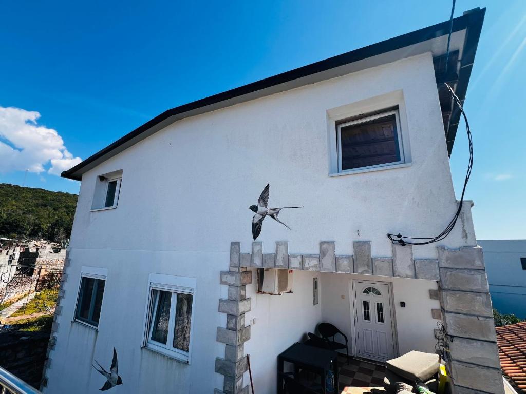 a bird on the side of a white building at Bird House in Krimovice
