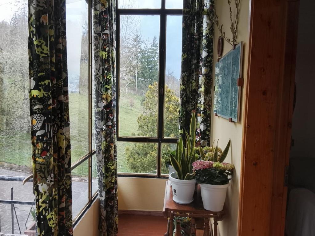 a room with two potted plants on a table in front of a window at B&B Casa Orchidea in Baragazza