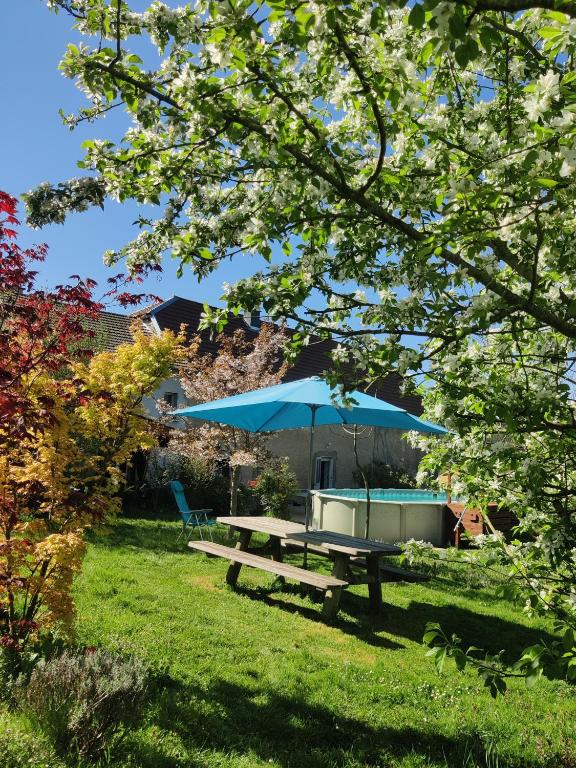 a picnic table with a blue umbrella in the grass at Au Jardin d'Isa in La Résie-Saint-Martin