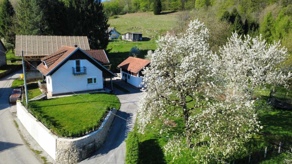an aerial view of a house and a tree with white flowers at Apartma Laganini in Bosiljevo