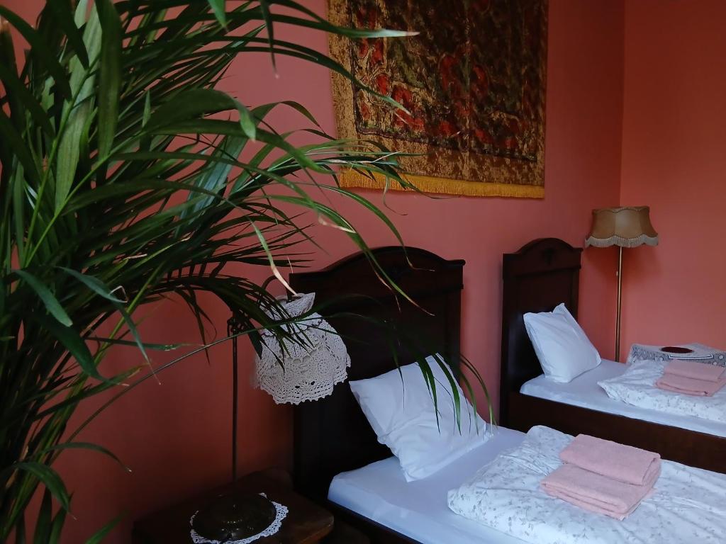 a bedroom with two beds and a potted plant at Hostel, Pokoje gościnne Mleczarnia - Ozonowane in Wrocław