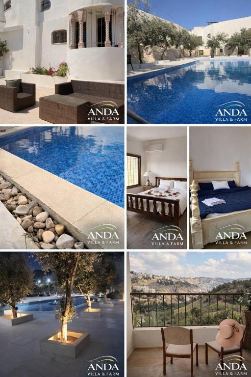 a collage of pictures of a swimming pool at ANDA villa&Farm in Amman