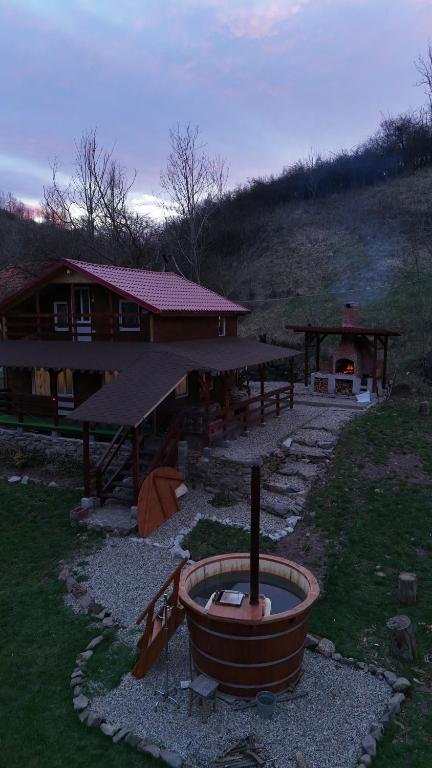 a backyard with a fire pit and a house at Cabana Buta in Dumeşti