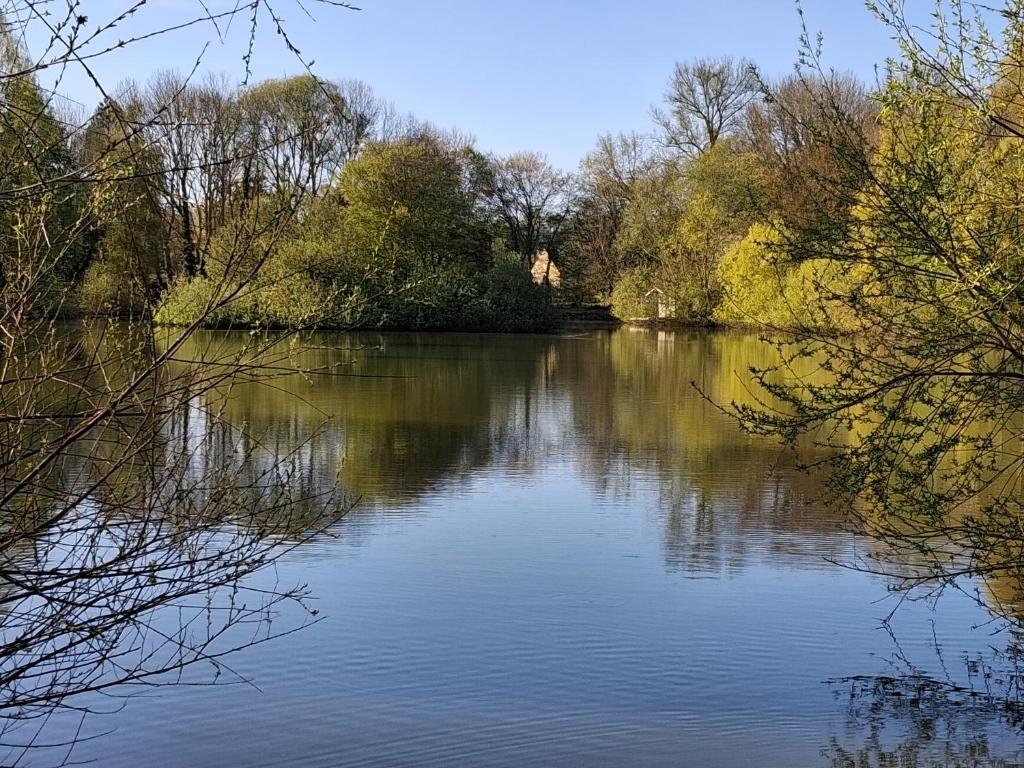 a view of a river with trees in the background at L'escale de Blacourt in Blacourt