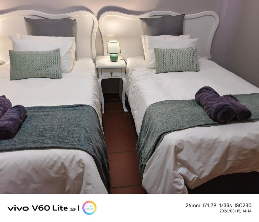 two twin beds sitting next to each other in a room at Firehouse self-catering unit 6 in Wellington