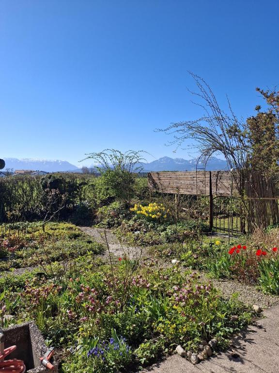 a garden with flowers and a wooden fence at Ferienwohnung Theresia in Laufen
