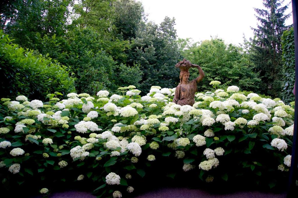 Zahrada ubytování Embassy Row BnB