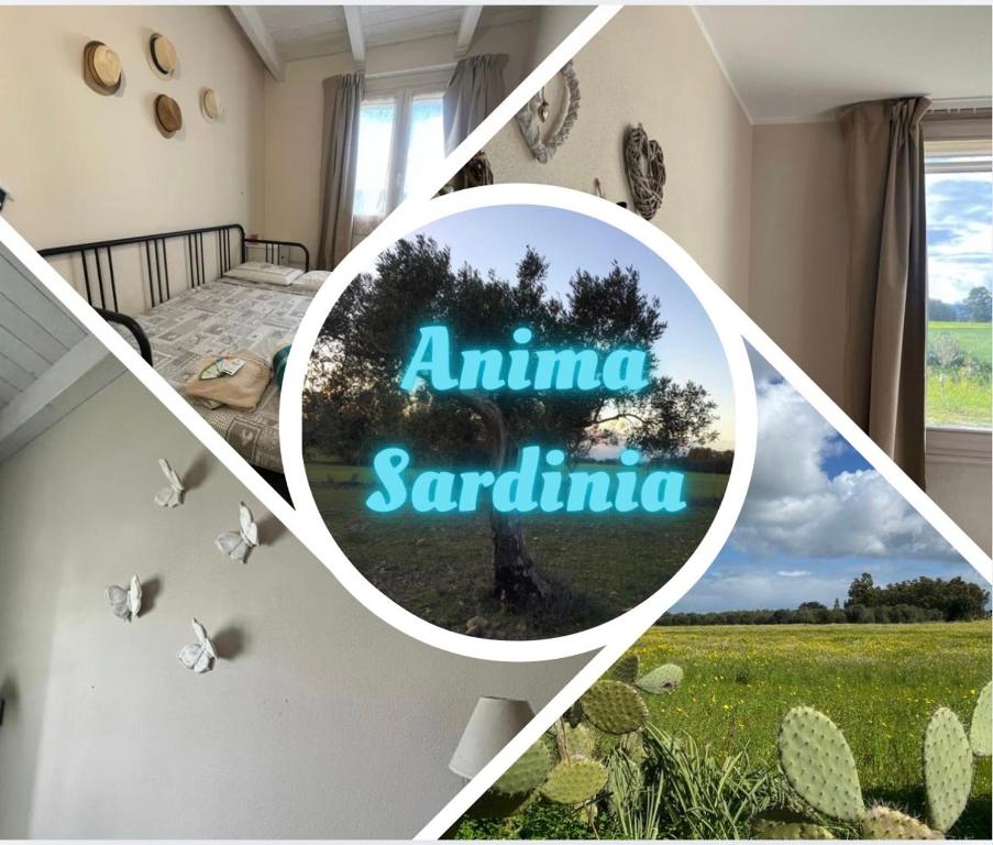 Ảnh trong thư viện ảnh của Anima SARDINIA ở Villaspeciosa