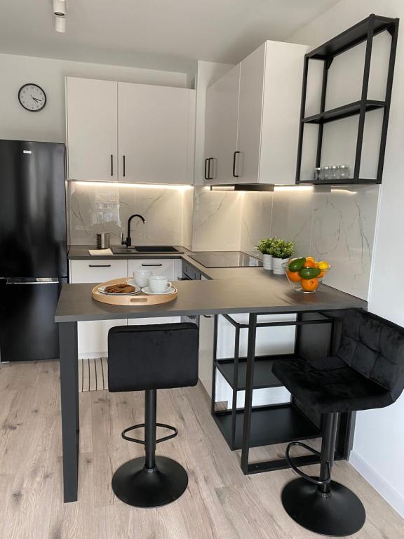 Virtuvė arba virtuvėlė apgyvendinimo įstaigoje Strzelecka Studio