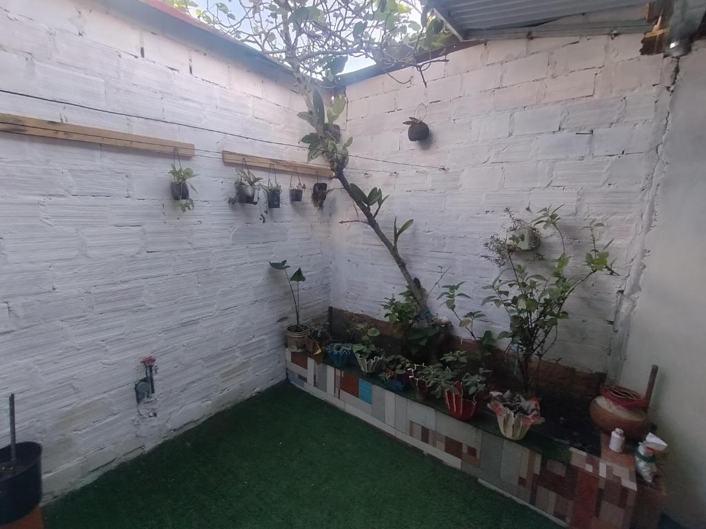 a white brick wall with potted plants on it at Curuwasi in Moyobamba