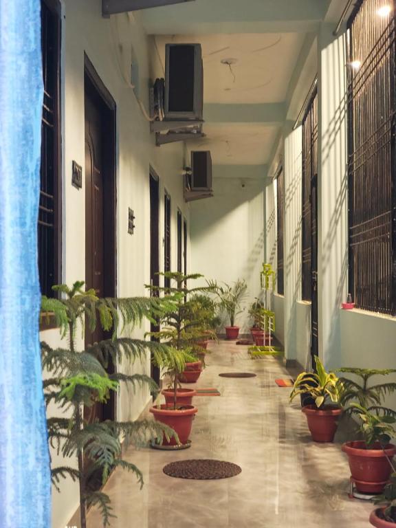 a hallway with a row of potted plants at Prem Saroj homestay in Ayodhya