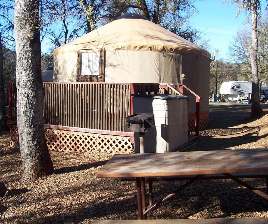 a yurt with a picnic table next to a tree at Lake of the Springs Camping Resort Yurt 1 in Oregon House