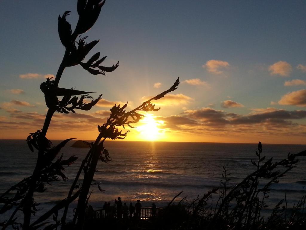 Lush & Co Auckland Bed & Breakfast - Resim 43