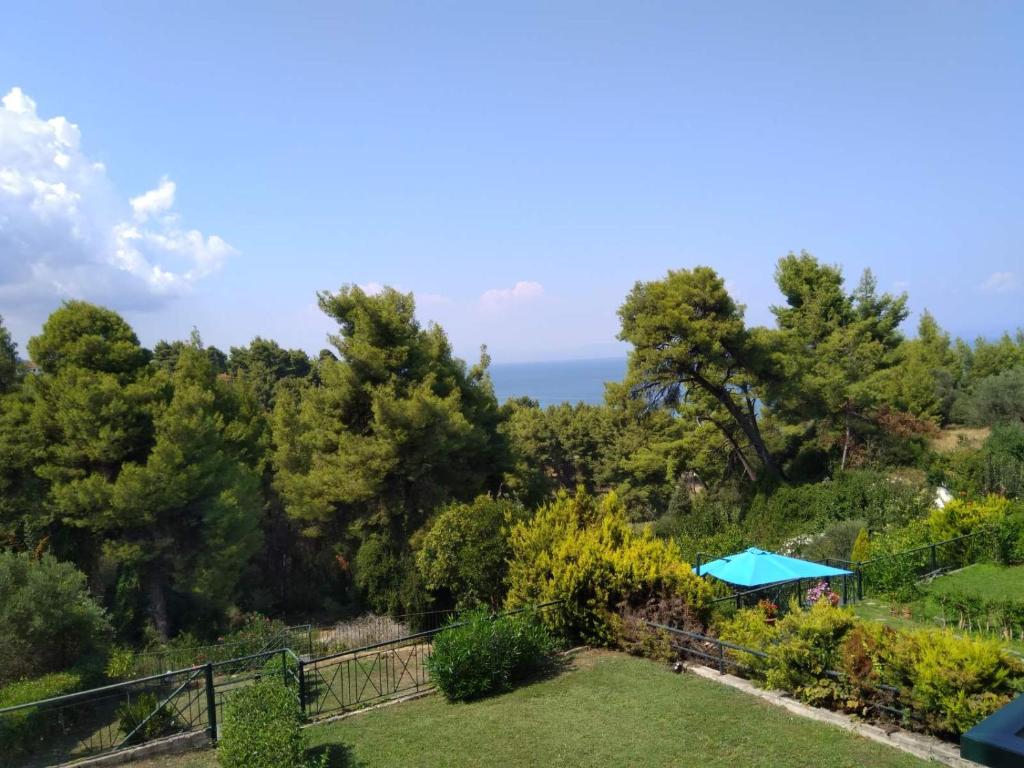 a view of the garden from the house at Serene Villa in Kriopigi