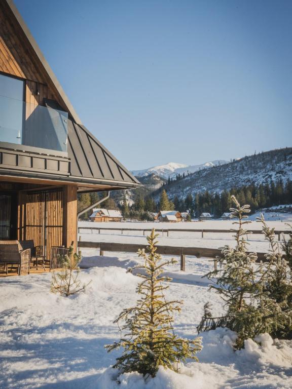 a snow covered yard with trees in front of a building at WHITE BROOK Luxury Chalets with Jacuzzi - Dolina Chochołowska - Kościelisko - Zakopane - Tatry in Kościelisko