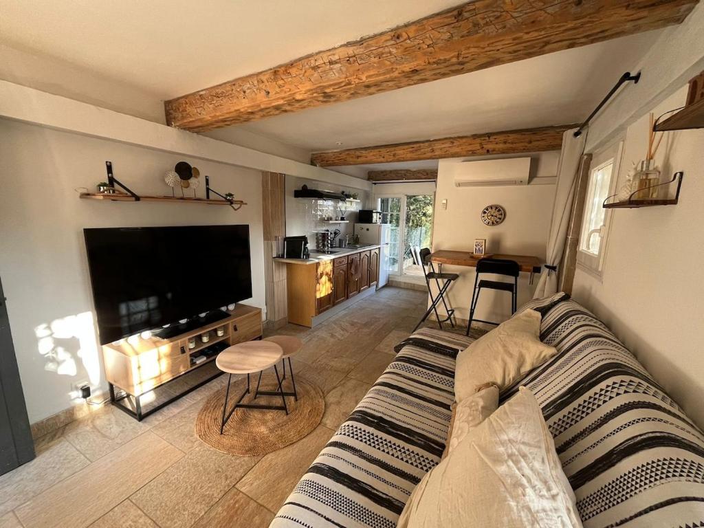 a living room with a couch and a flat screen tv at Studio avec double terrasse Roquefort les Pins in Roquefort-les-Pins