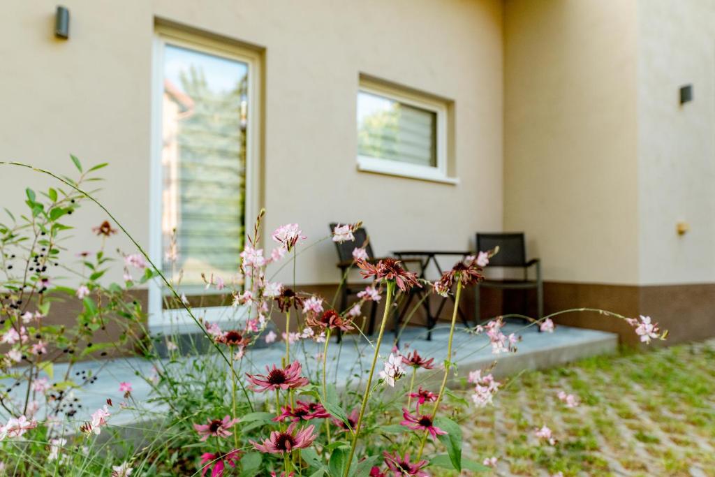 a garden with pink flowers in front of a house at gardenSTUDIO in Děčín