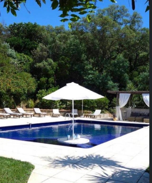 a pool with an umbrella and chairs and a table with an umbrella at Maison Tropez in Cogolin