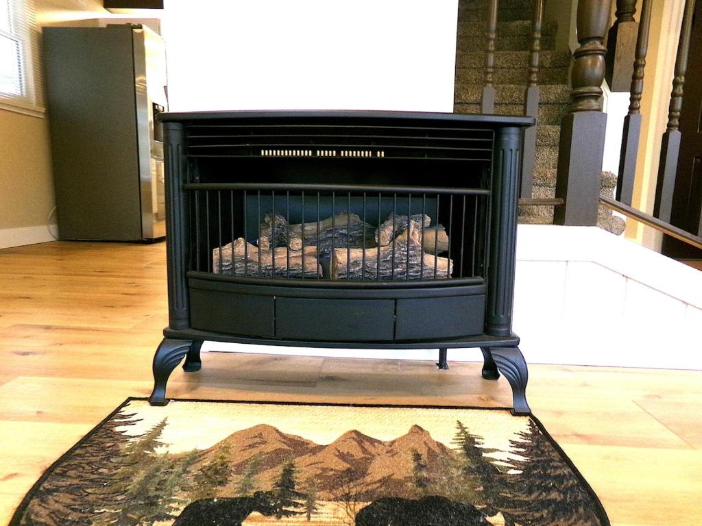 a black fireplace in a room with a rug at Cookie's Cottage in Caseville