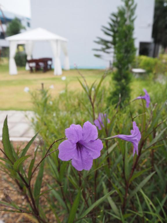 Addera Residence Hua Hin - Resim 18